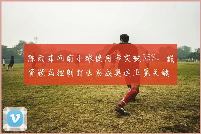 陈雨菲网前小球使用率突破35%，戴资颖式控制打法或成奥运卫冕关键
